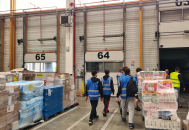 insertion professionnellesdécouvertes métiers avec les PEP 18