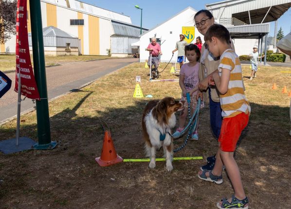 Défi sport : essai au parcours canin avec 2 enfants