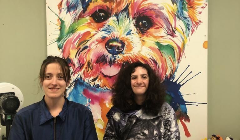 professionnelle et salarié en duoday