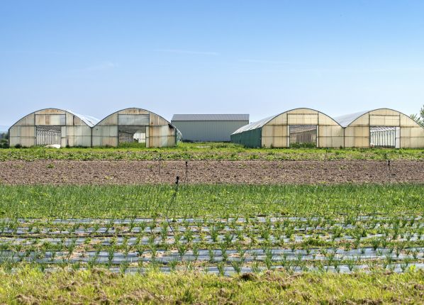 ESAT Le Bergerat Vesdun - L'entrée des serres