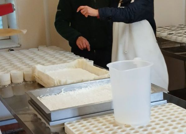 duoday à la chevrerie