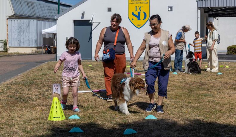 Défi sport : une petite fille fait le parcours avec le chien