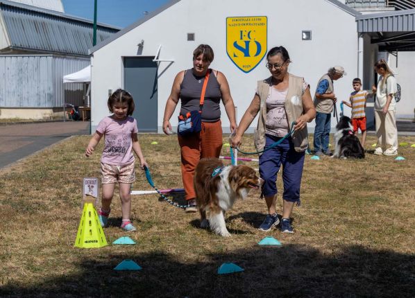Défi sport : une petite fille fait le parcours avec le chien