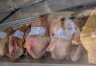 volailles de ferme LE BERGERAT