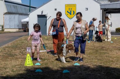 Défi sport : une petite fille fait le parcours avec le chien