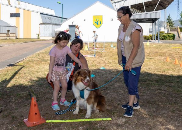 Défi sport : une petite fille caresse le chien du parcours canin