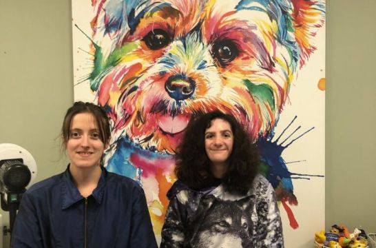 professionnelle et salarié en duoday