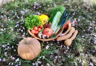 panier de légumes par Le BERGERAT