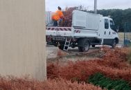 Replantage avec des espèces resistantes à la chaleur