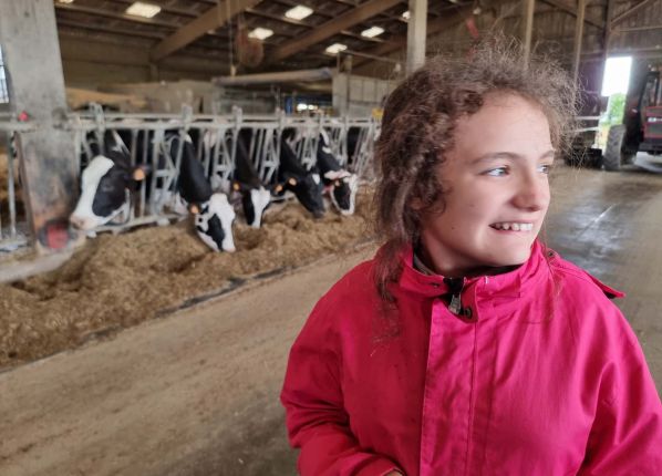 Des vaches dans une étable et une jeune fille